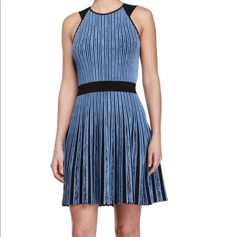 OPENING CEREMONY | Blue + Black Stripe Flare Dress (Size XS)